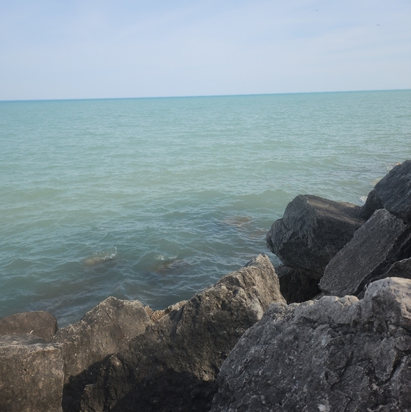 Meet your Posher, Carrie - Picture 3 of 3